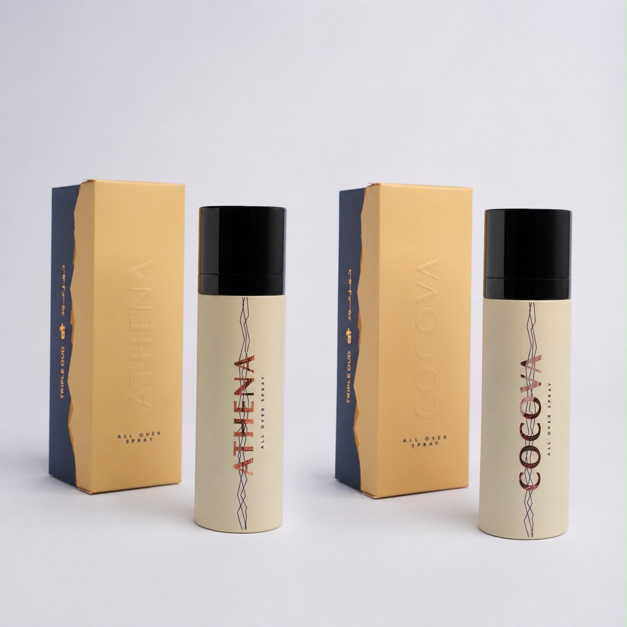 Offer 2 All Over Spray